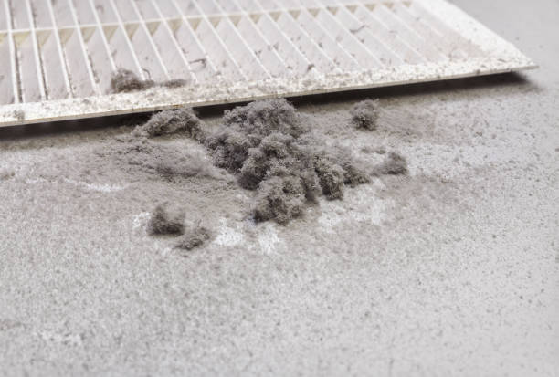 Best General Air Duct Cleaning  in Margaret, AL