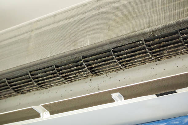 Ductwork Cleaning Services in Margaret, AL