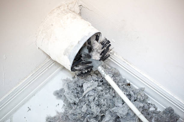 Best Air Duct Sanitizing Services  in Margaret, AL