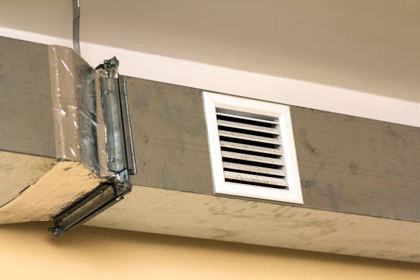 Best Professional Duct Cleaning Services  in Margaret, AL